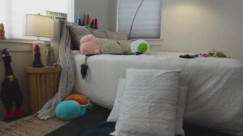 Taylor --  online show from 24, 1, 2025