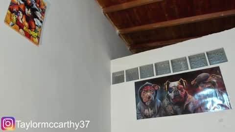 Snapshot of taylor_mccarthy_1 chatting on 25, 1, 2025 Taylor Mccarthy online show from 25, 1, 2025