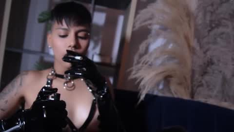 Taylor online show from 7, 10, 2025