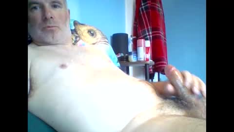 Snapshot of tazo78 chatting on 9, 11, 2025 tazo78 online show from 9, 11, 2025