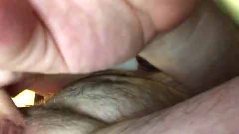 Tbiz82 online show from 27, 2, 2025