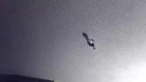 technosex14 online show from 20, 11, 2025