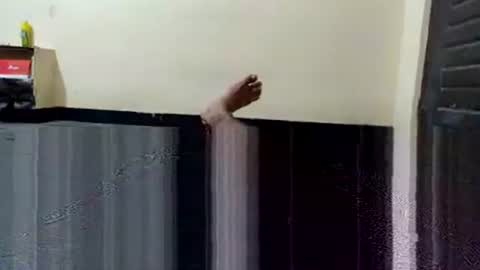 telugu_dick_hyd online show from 4, 11, 2025