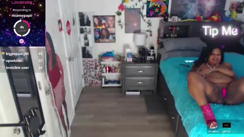 Gaia online show from 26, 10, 2025