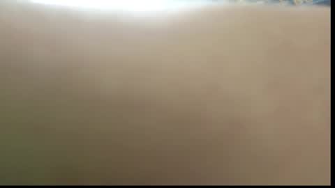 Ada  online show from 11, 2, 2026