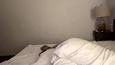 Snapshot of tennman6086 chatting on 4, 2, 2025 Tennman online show from 4, 2, 2025