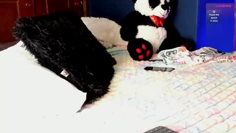 Snapshot of teo_369 chatting on 11, 3, 2026 Teo online show from 11, 3, 2026