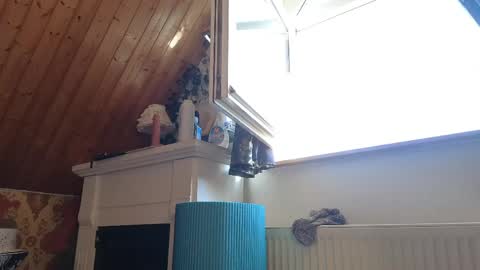 Snapshot of tessawinter chatting on 26, 4, 2026 Tessa online show from 26, 4, 2026