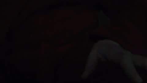 Snapshot of tetuo2 chatting on 17, 11, 2025 tetuo2 online show from 17, 11, 2025