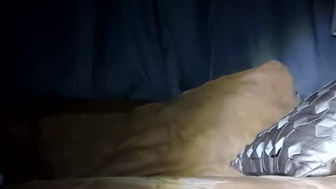 MauiMinded808 online show from 29, 1, 2025