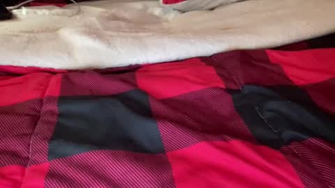 Snapshot of texashotrod chatting on 6, 12, 2024 Derick online show from 6, 12, 2024