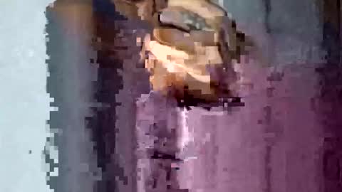 Snapshot of texasmade13 chatting on 16, 11, 2025 TexasDick online show from 16, 11, 2025