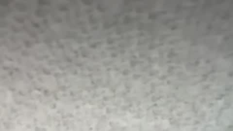 Snapshot of thankyoudaddy1 chatting on 28, 10, 2025 thankyoudaddy1 online show from 28, 10, 2025