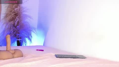 sofia online show from 29, 11, 2025