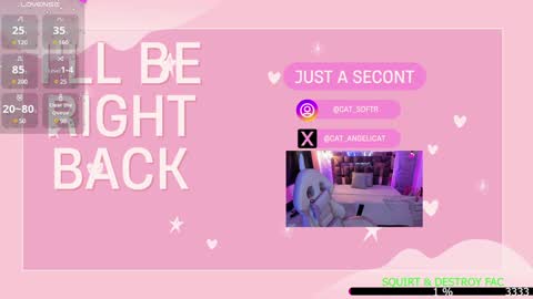 Snapshot of the_cat_girl_ chatting on 13, 1, 2025 i am Cat online show from 13, 1, 2025