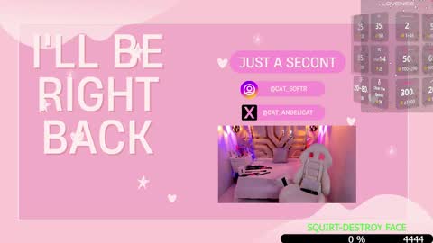 Snapshot of the_cat_girl_ chatting on 15, 1, 2025 i am Cat online show from 15, 1, 2025