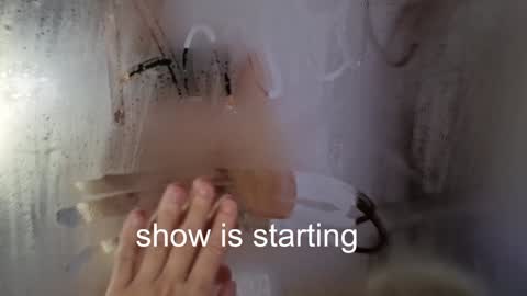 Snapshot of the_pussy_boulevard chatting on 20, 12, 2025 Anna online show from 20, 12, 2025