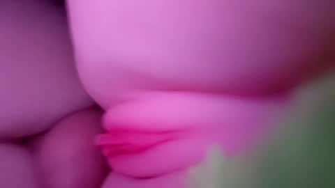 thebigcock4u222427 online show from 30, 5, 2026