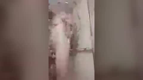 thedailyshower online show from 6, 7, 2026