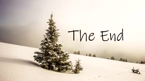 thedome372 online show from 23, 10, 2025