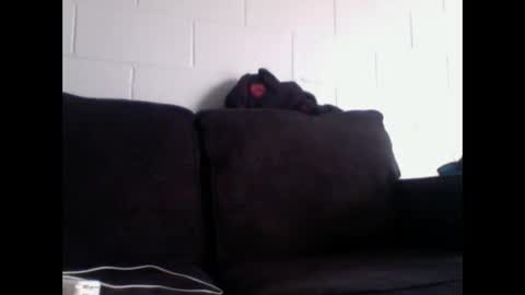 thee304slayer online show from 16, 12, 2025