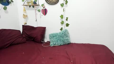 Snapshot of thefenix_jyk chatting on 24, 1, 2025 Ariamapola88 online show from 24, 1, 2025