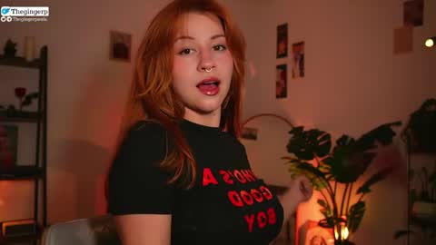 Snapshot of thegingerp chatting on 27, 4, 2026 Streaming mostly at online show from 27, 4, 2026