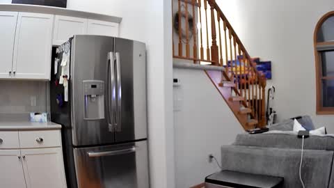 thegreat6268469 online show from 3, 12, 2025