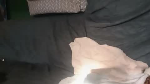 thehornyman916 online show from 3, 8, 2026