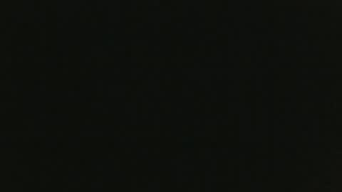 Snapshot of thenudedoodler chatting on 8, 12, 2024 JohnSilver online show from 8, 12, 2024