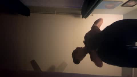 theonlyboi43ver online show from 2, 1, 2025