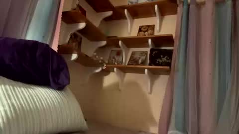 theonlyboi43ver online show from 17, 12, 2025