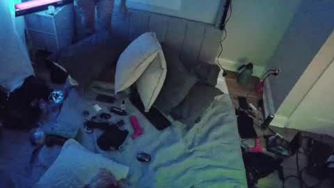 Snapshot of theperfectbottom chatting on 17, 11, 2025 theperfectbottom online show from 17, 11, 2025