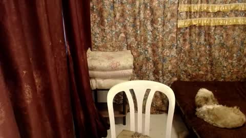 MIMI online show from 1, 3, 2025