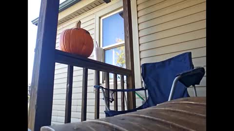 therizzler_1_of_1 online show from 22, 10, 2025