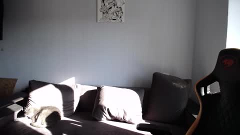 Nick   online show from 28, 9, 2025