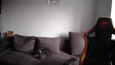 Nick   online show from 23, 11, 2025