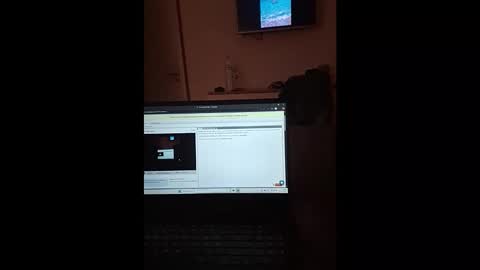 Snapshot of thesporttype chatting on 1, 11, 2025 thesporttype online show from 1, 11, 2025