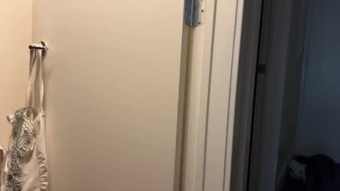 Snapshot of thevixensapphire chatting on 17, 3, 2026 Sapphire the Vixen online show from 17, 3, 2026