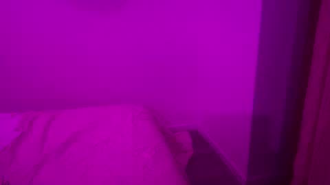 The Wild Wonderland online show from 8, 1, 2026