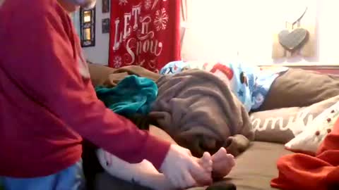 Snapshot of theycallmemellowthebreeze chatting on 28, 12, 2024 mellow online show from 28, 12, 2024