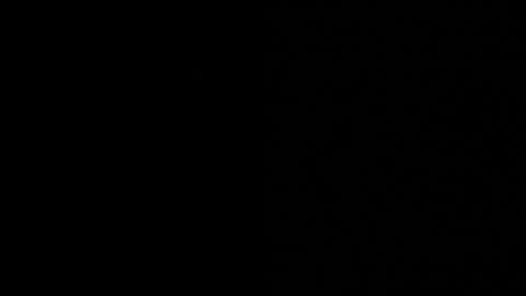 thiago_driussi online show from 12, 11, 2025