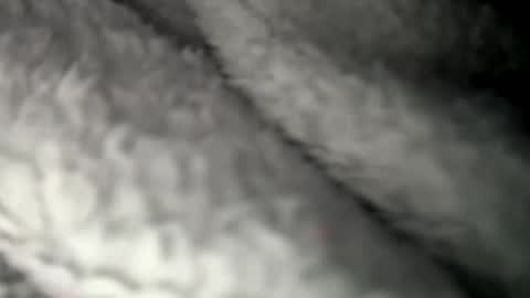 Snapshot of thickuncut7148704 chatting on 7, 2, 2025 thickuncut7148704 online show from 7, 2, 2025