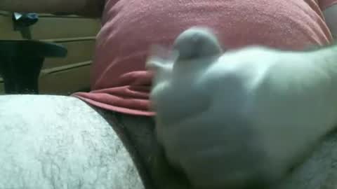 Snapshot of thomas0032 chatting on 19, 2, 2026 thomas0032 online show from 19, 2, 2026