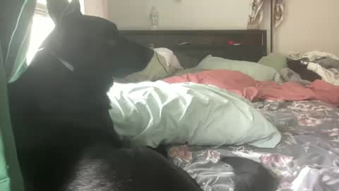 throatyygoat online show from 21, 9, 2025