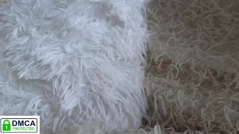 Snapshot of tia_j chatting on 16, 1, 2025 tia_j online show from 16, 1, 2025