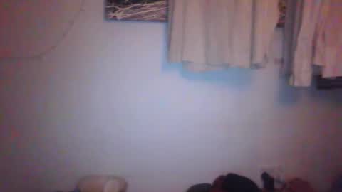 Snapshot of tiddles12345 chatting on 16, 3, 2026 tiddles12345 online show from 16, 3, 2026