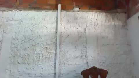 Snapshot of tifannylovesquirt chatting on 11, 2, 2025 Tifany online show from 11, 2, 2025