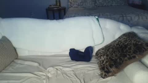 Tiffani Love online show from 8, 2, 2025