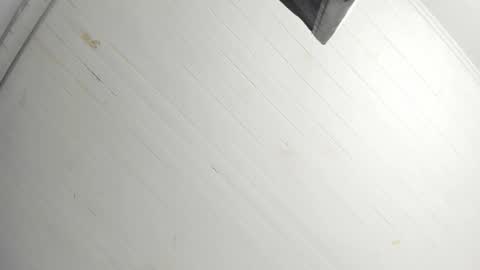 Tiffany online show from 22, 12, 2025